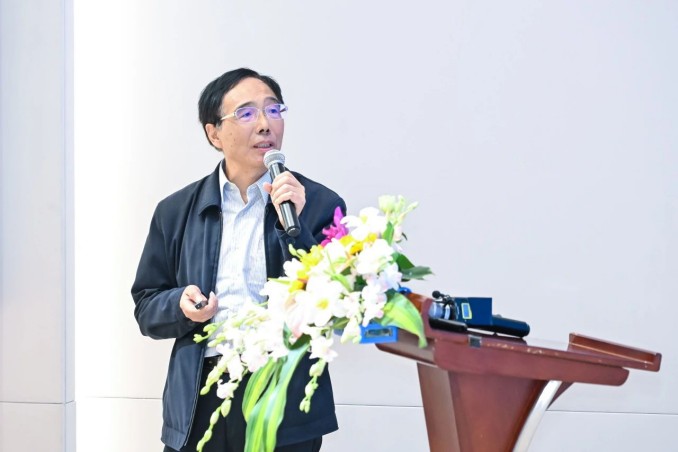 1729579565698460.jpg 28.jpg